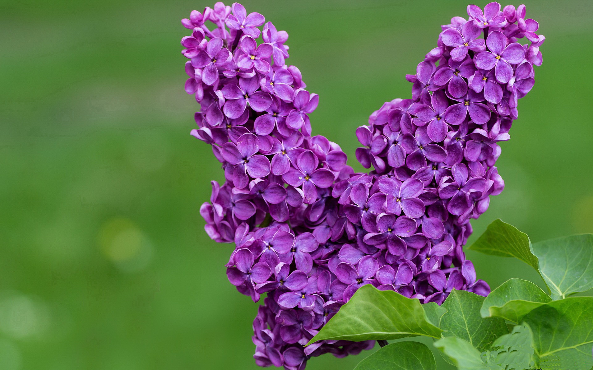英超争冠焦点战与吉林队踏平步行者,跨界战术的共鸣