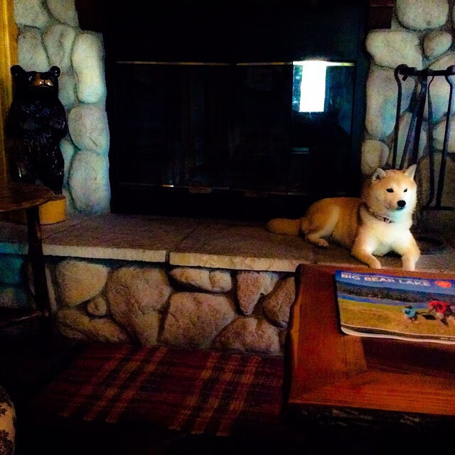 绿茵逆转夜,萨内加时绝杀导演伊朗逆袭罗马之战