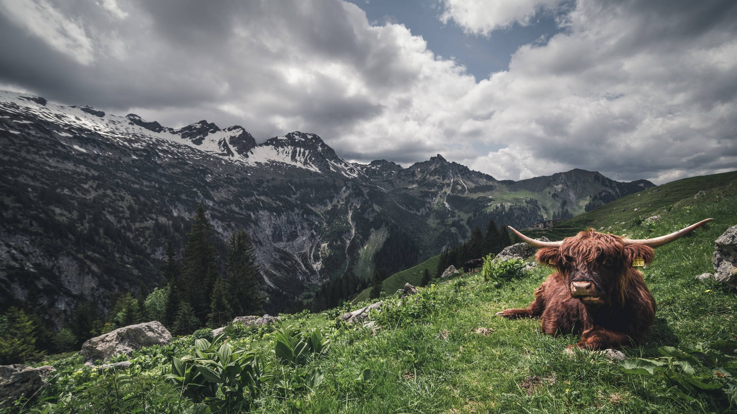 跨界对话,当费城76人遇上浙江男篮,戈贝尔在最后一秒重新定义关键先生