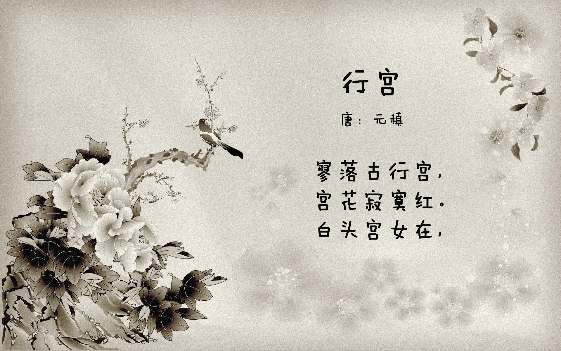 12码与永恒之间，马克西一战缔造新王传说