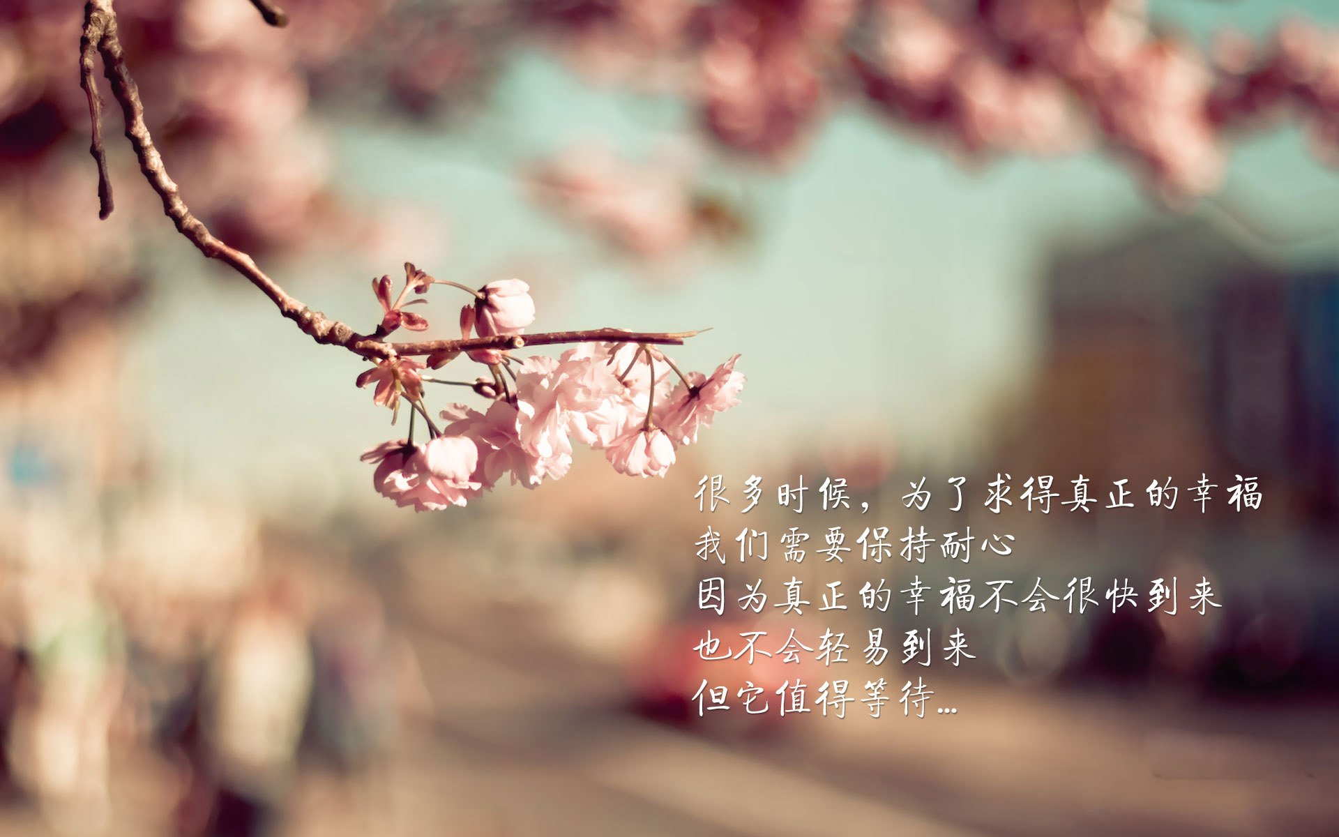 托尼定律，当总决赛灯光亮起