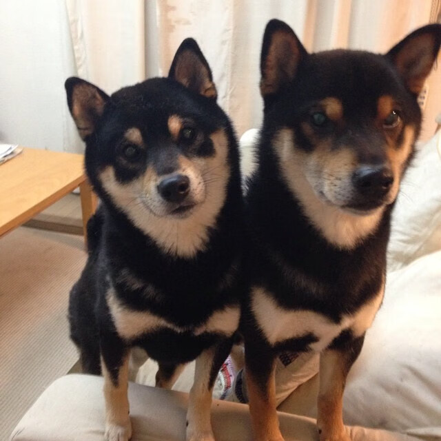 鹰啸费城，年度焦点战背后，老鹰如何粉碎76人的冠军野心？