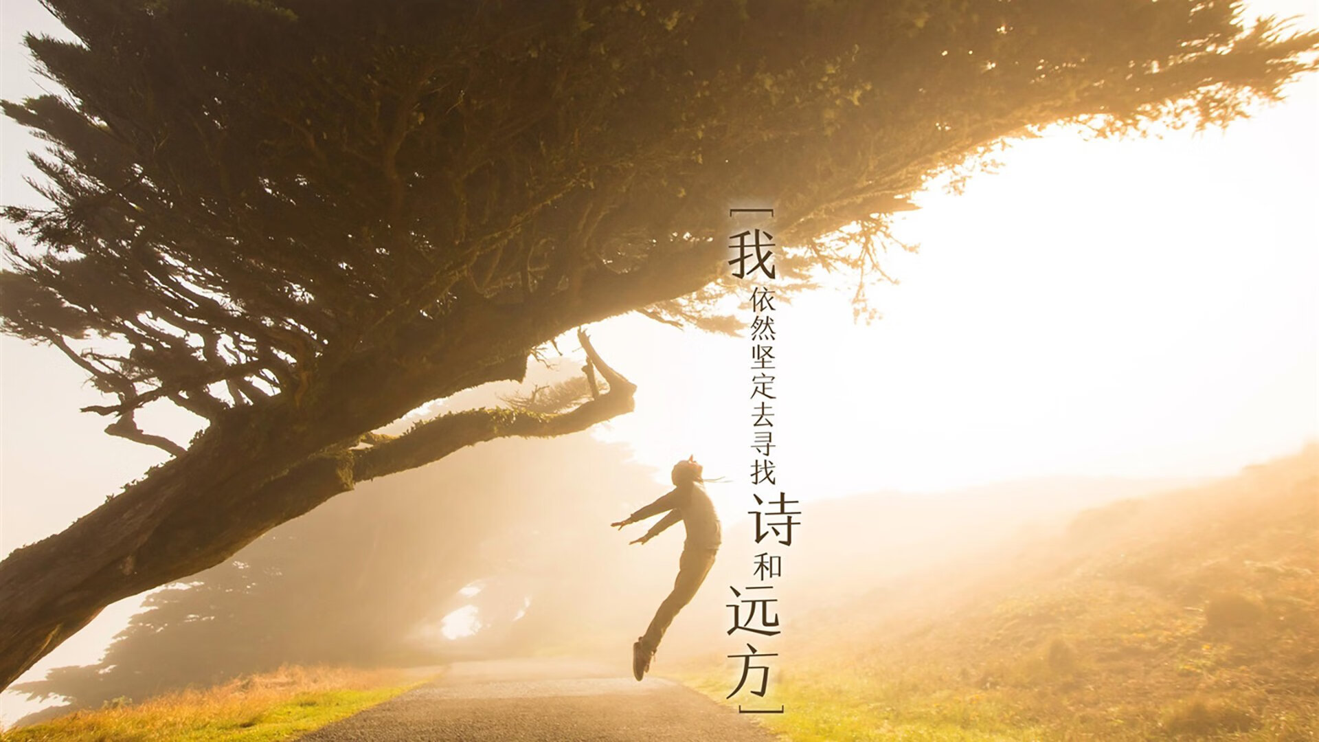 归化之刃，绝杀之夜，登贝莱压哨破网，塞尔维亚2-1伊朗占据A组出线主动