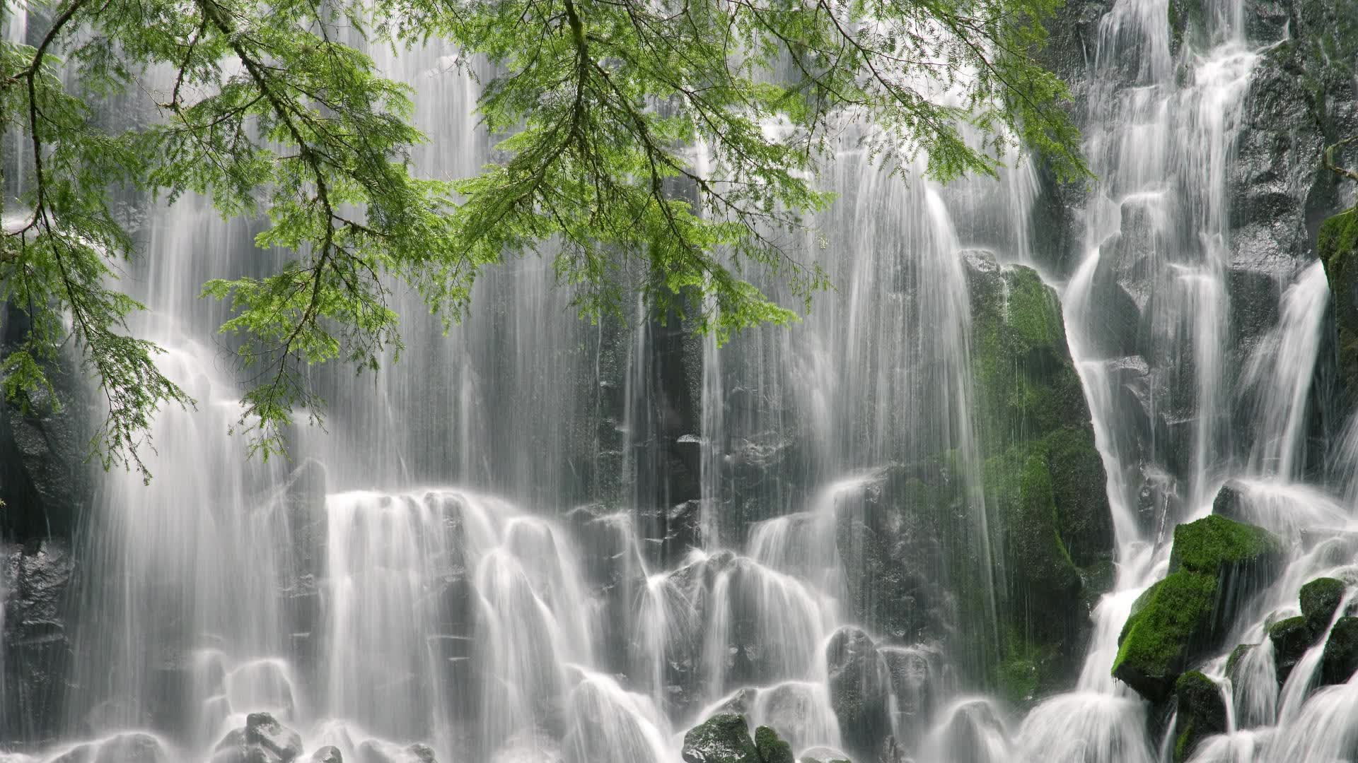 中亚雄鹰的涅槃，当唯一性写下F组最冷门的史诗