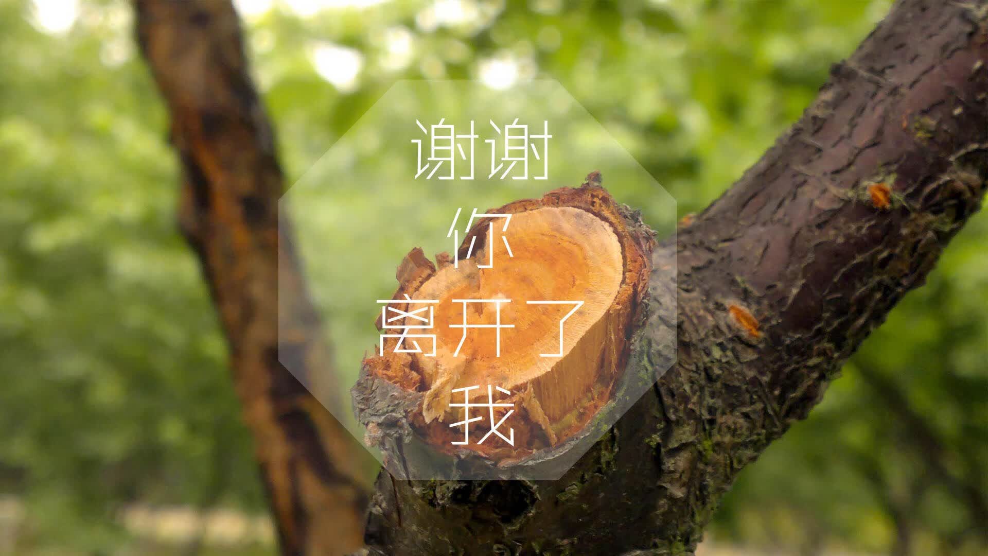 2026之夏，北欧铁骑踏碎童话，阿诺德用一记手术刀剖开了B组的格局